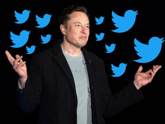 Buh-Bye: Two Twitter Executives Are Leaving Following Elon Musk’s ...